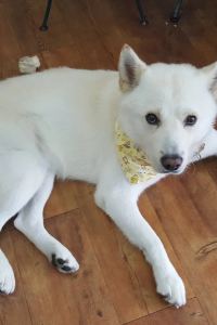 액션가면부활 廣州白雲機場旅客計時休息室（T1航廈店）優惠