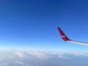 사치