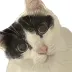 おぎむ！