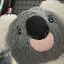 Koalakoblb