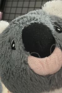 Koalakoblb 若水溫泉會館優惠