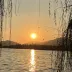 Explore Natural Beauty