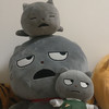おちゃきぬ