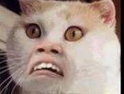 (Q) 瓜拉丁加奴阿雷納精品酒店優惠