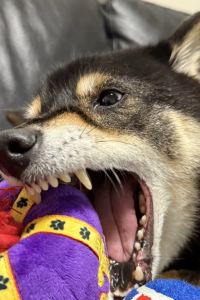 ルミコト 光明JS精品飯店優惠