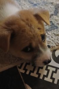 Peter Leblanc 大洋飯店優惠