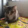 Eyka Armiza