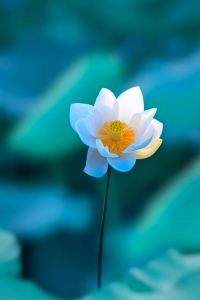 skkwok 克拉德酒店優惠