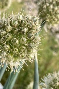 benitah 小樽放鬆飯店及酒吧優惠