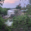 aipoo