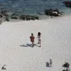 Avatar 3