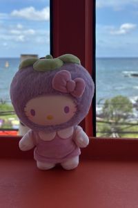 와좍 팜파스호텔 제주 쿠폰
