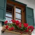 Narulita Sitompul