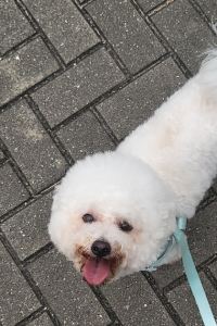 KLNN 香港極棧公寓優惠