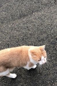 mmyyuu ザ グラン リゾート プリンセス有馬 クーポン