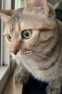 YUN FANG 台南小南天生活輕旅優惠