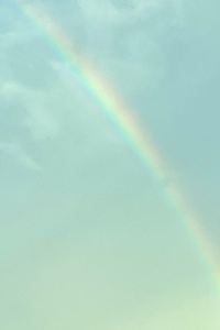 Sushimeow 弗雷特 SPA 飯店優惠