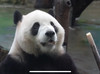 我想出國