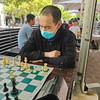 chesslh