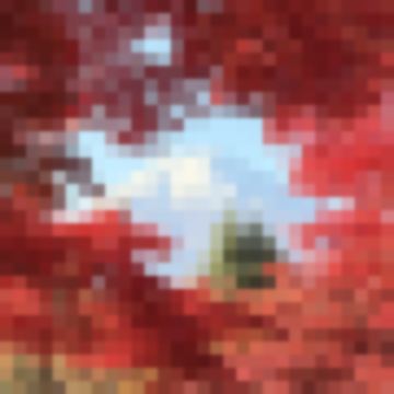 เที่ยวเหมือนรวย