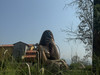 Tungthung