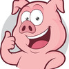 BiGPiG
