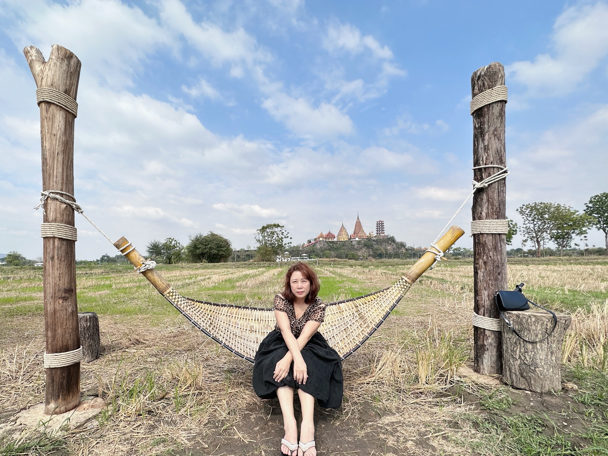 愛旅遊的大美