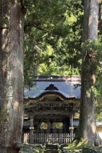 緑のtea 台北德立莊酒店-昆明館優惠