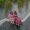 wanderlustfhey