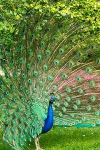 CatalinaChan 凱黎世波爾圖裡貝拉酒店優惠