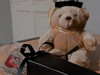 MrTeddy