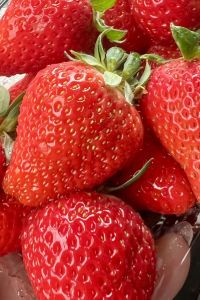 玩到不想回家 コスタベージャ コンドミニアムリゾート クーポン