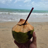 MauritiusP1