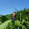 Avatar 2