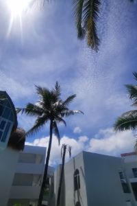 Kat12345 深圳海上世界品上飯店優惠