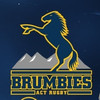 Travelling Brumby