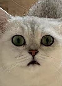 nagasawa_f ＤＨＣ赤沢温泉ホテル クーポン