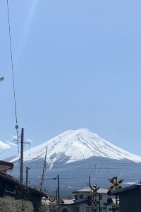 Velvetrose 福岡千禧一代旅館優惠