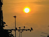 Solar B