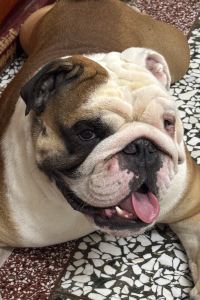 Joongki 弘大DW飯店優惠