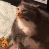 Avatar 3