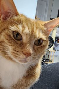 맥쏘양 더 그랜드 섬오름 쿠폰