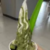 Avatar 1