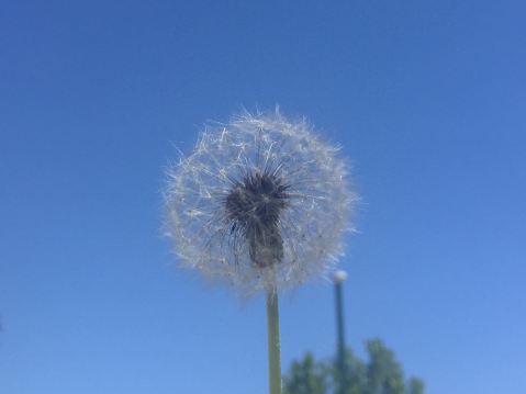 트립닷컴 회원