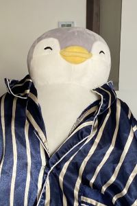 Zzzzz69 萬雅嵐温泉度假村優惠