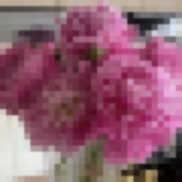 旅の人 One traveler