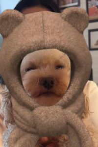 Ng Man Yin 湯布院町燈之宿酒店優惠