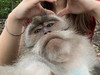 Nuggetsthebest