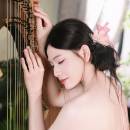 soloharp