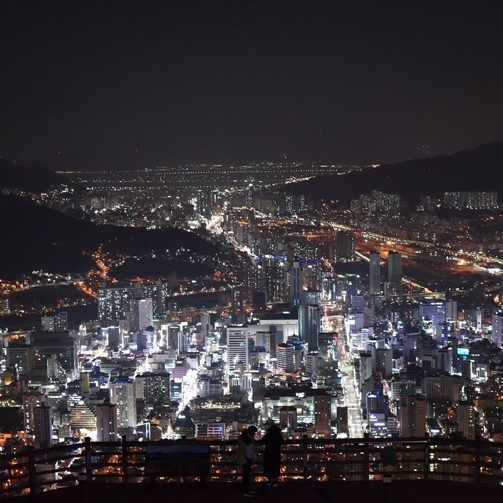 달리쟈
